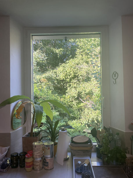 Fenêtre - Porte fenêtre - Mixte acier/alu