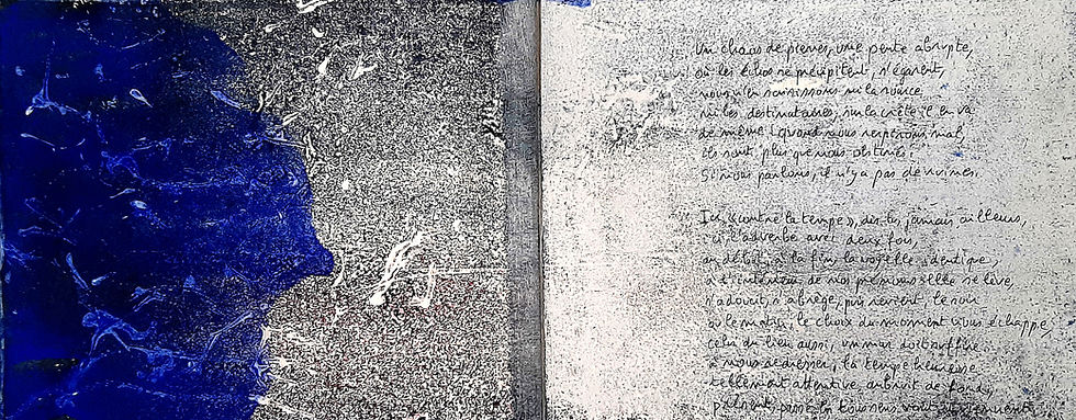 4-Livre d'artiste-La mousse et le temps  Aout 2020.jpg