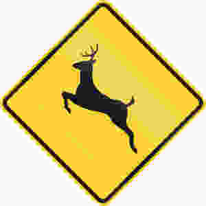 US road warning sign: Deer crossing