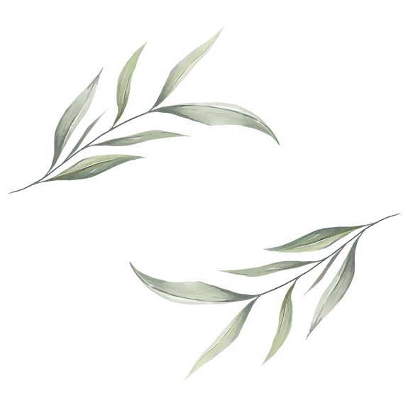 —Pngtree—elegant_watercolor_leaves_e