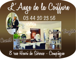 L'Ange de la coiffure1.2