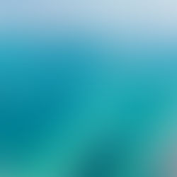 Memories of Eleuthera: a Work Assignment in Paradise