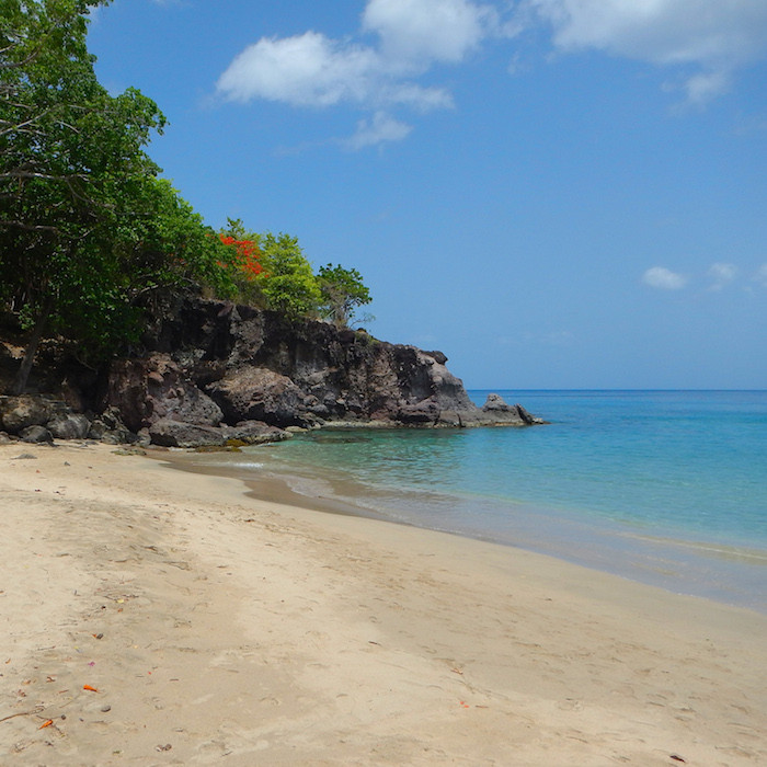 Guadeloupe Basse Terre