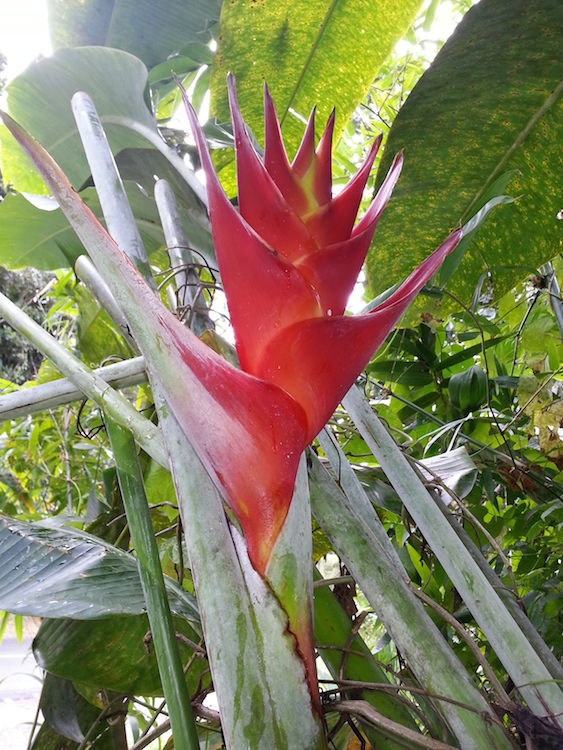 Caribbean travel blog