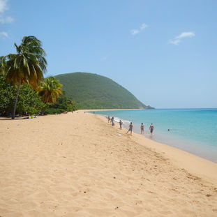 Guadeloupe's Grande Anse beach