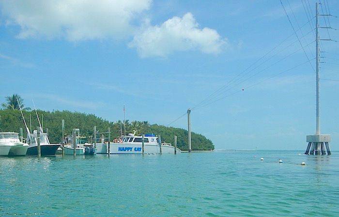 Snorkeling the Florida Keys