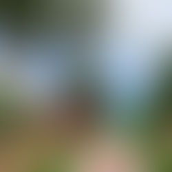 Island Dreaming: The allure of Anguilla