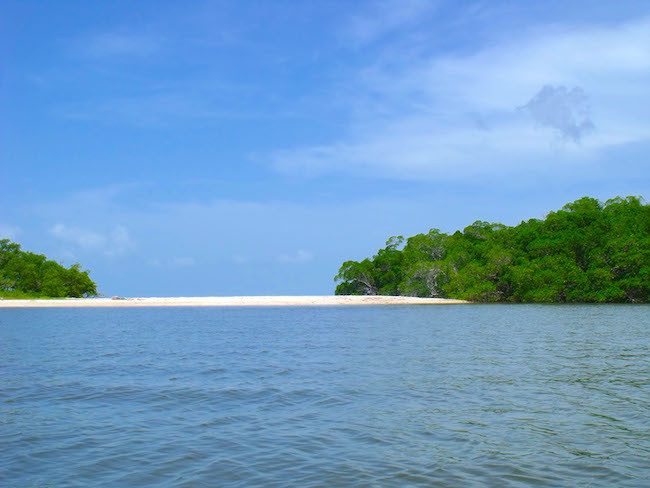 Jewel Key Everglades