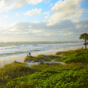 Run away to...Anna Maria Island!