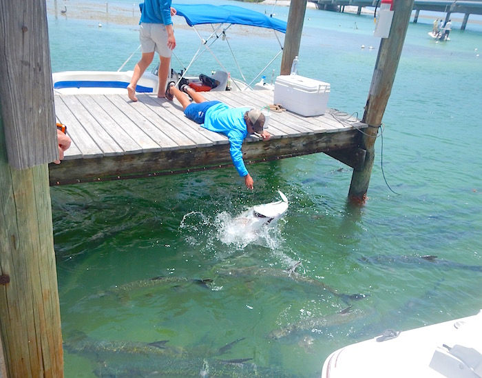 Islamorada restaurants