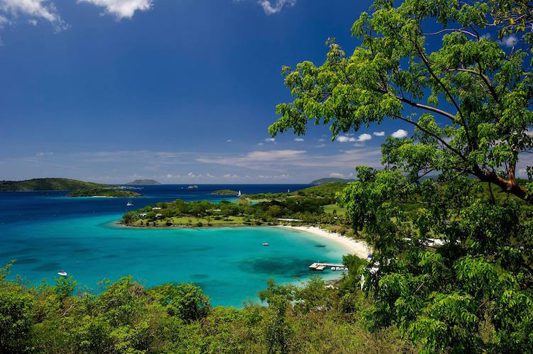 Island Runaways