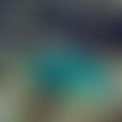 Enchanting Island Nature: the fantastic Parrotfish 