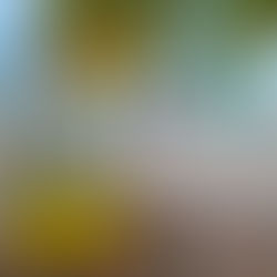 Margarita time: Morada Bay Beach Café in beautiful Islamorada