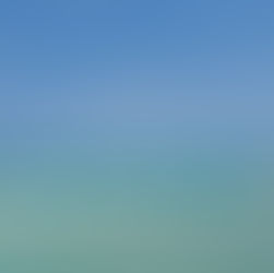 Run away to...Grand Bahama!