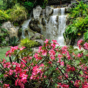 Break from the beach: Beautiful botanical gardens in Guadeloupe
