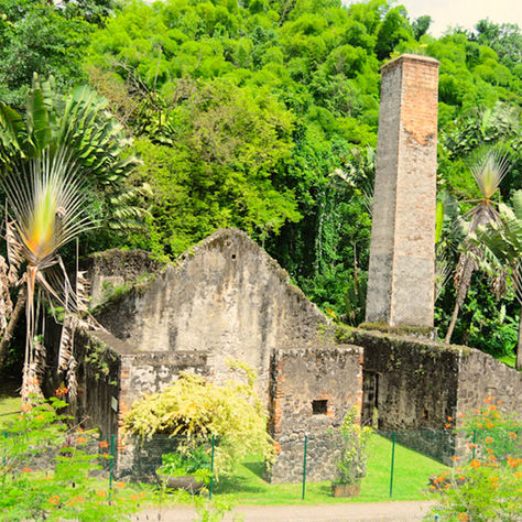 On Martinique: Exploring the Empress Josephine's childhood home, La Pagerie