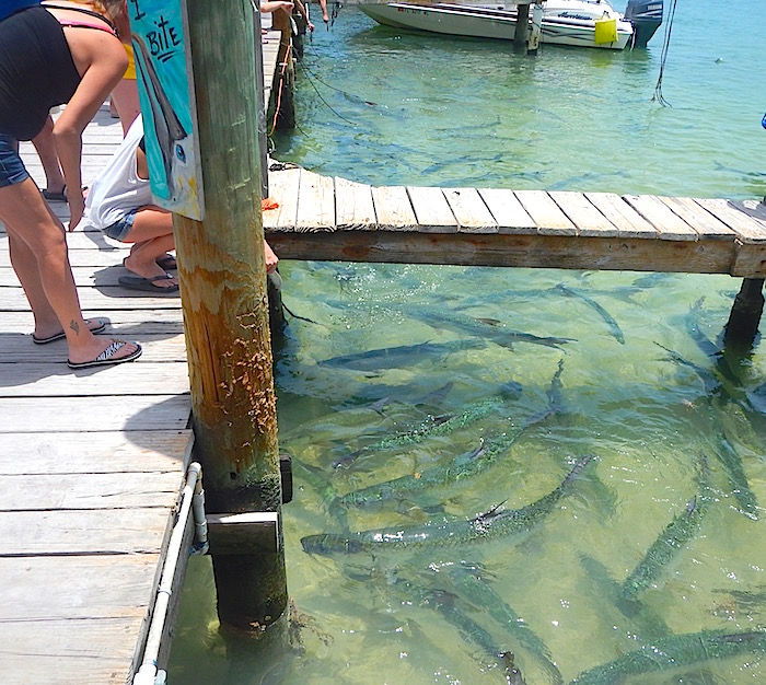 tropical island getaway