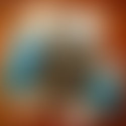 The PERFECT Island Christmas gift: Hidden History of the Florida Keys