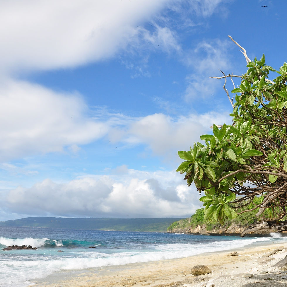 Island Runaways