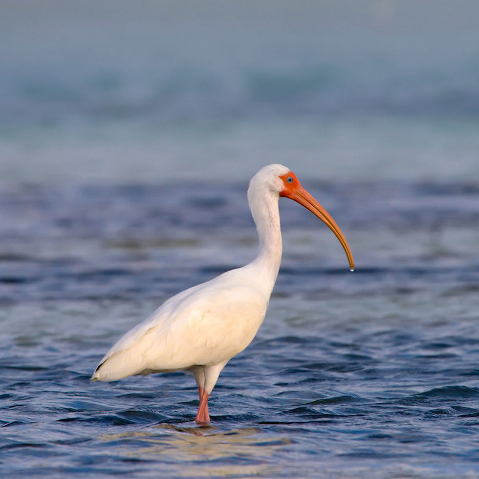 island travel blog