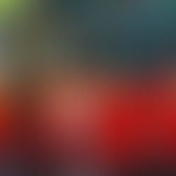 All Aboard! Taking the Key West Trolley Tour