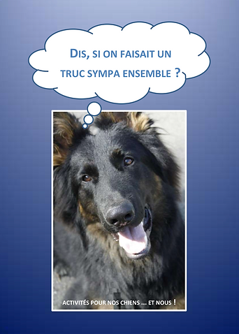 Capture d’écran 2019-03-10 à 09.12.40.pn