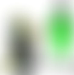 Renaissance for a Dream: Sermon for Proper 15A, Aug 20 2023