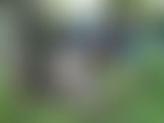 ここはどこでしょう?