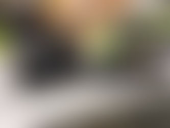 入社後初のロケ!