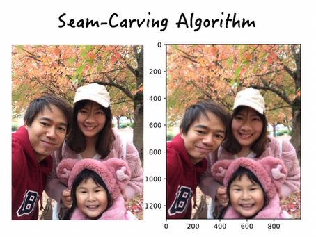Seam Carving Algorithm and its Implementations