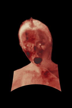 The Conductor of Energy Traffic, 2021 - Karolina Sungailaite