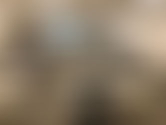 12月13日 第4期女性と子供の健康のための分子栄養学養成講座in東京/ZOOM会場 セミナー後報告