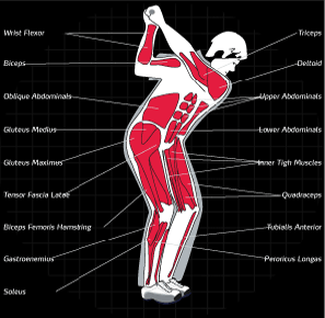 Golf Biomechanics