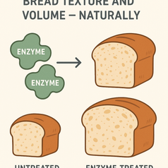 How Enzymes Improve Bread Texture and Volume – Naturally