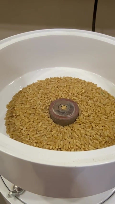 Thumbnail: NutriGrind Flour Mill