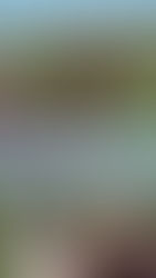 Hoogsensitiviteit uitgelegd door Puck: van triggers tot tips