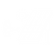 SOLAR CLEANING.png
