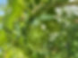 thumbnail_IMG_9897_edited.jpg