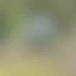 базы отдыха новосибирск