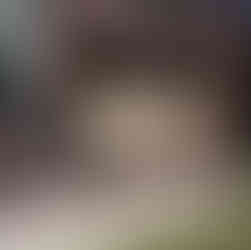 коттеджи посуточно недорого