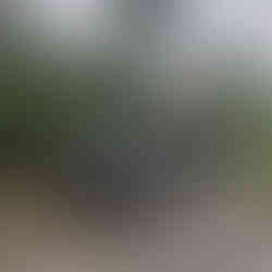 покататься на квадроциклах в новосибирске