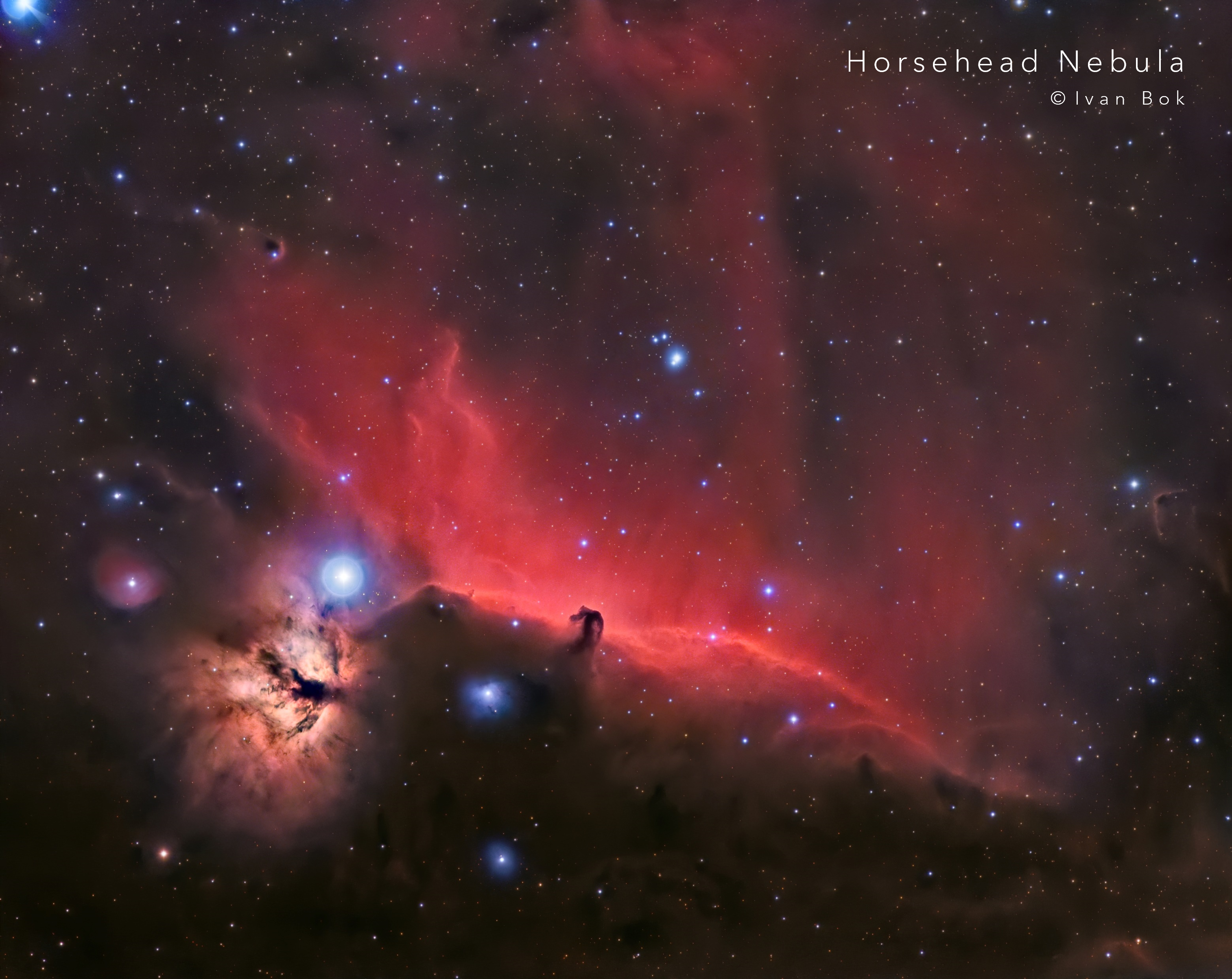 Horsehead Nebula Print