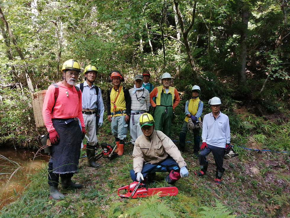 里山の手入れ