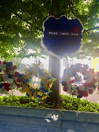 IMG_3763.jpeg