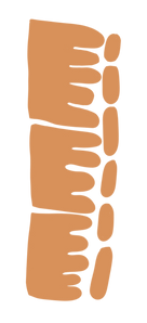 Motifs 4_edited.png