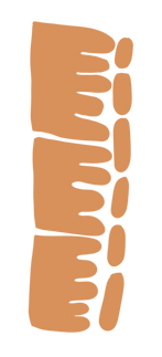 Motifs 4_edited.png
