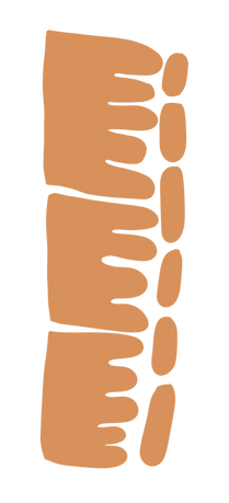 Motifs 4_edited.png