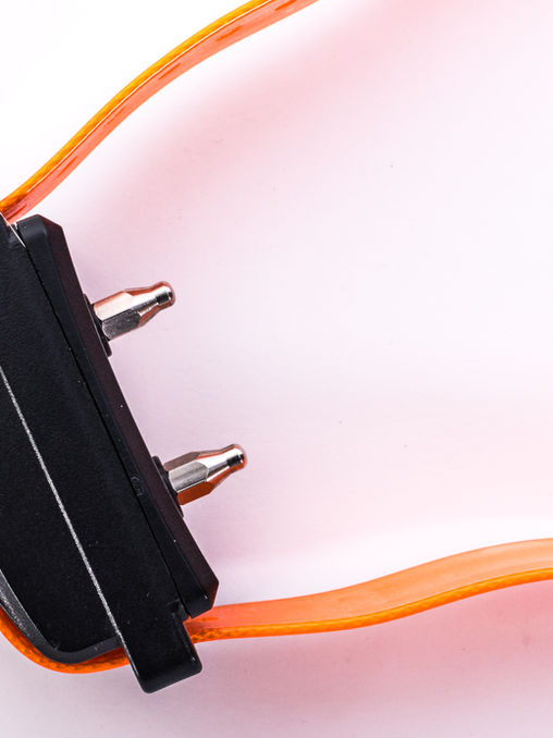 The Science and Ethics of Shock Collar Training: Understanding the Risks