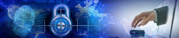 blue-Turtle-data-security_preview.jpeg