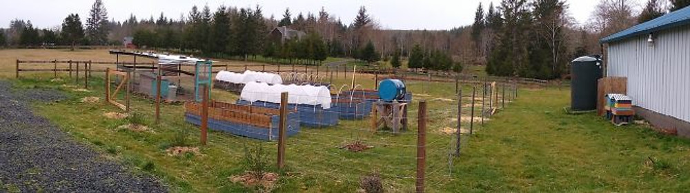 garden-after